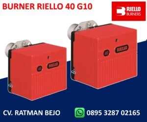 TECHNICAL DATA RIELLO 40 G10