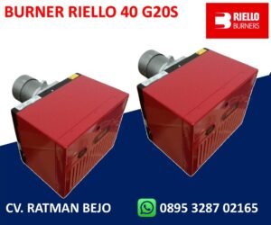 TECNICAL DATA RIELLO 40 G20S