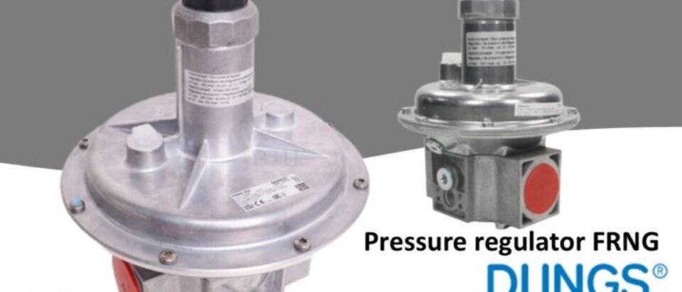 GAS REGULATOR DUNGS FRNG LOW PRESSURE