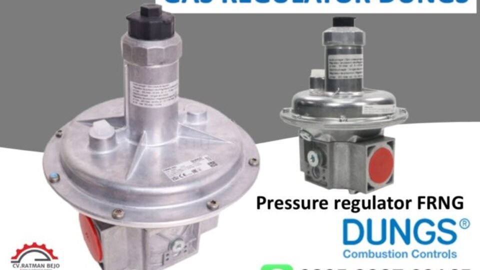 GAS REGULATOR DUNGS FRNG LOW PRESSURE