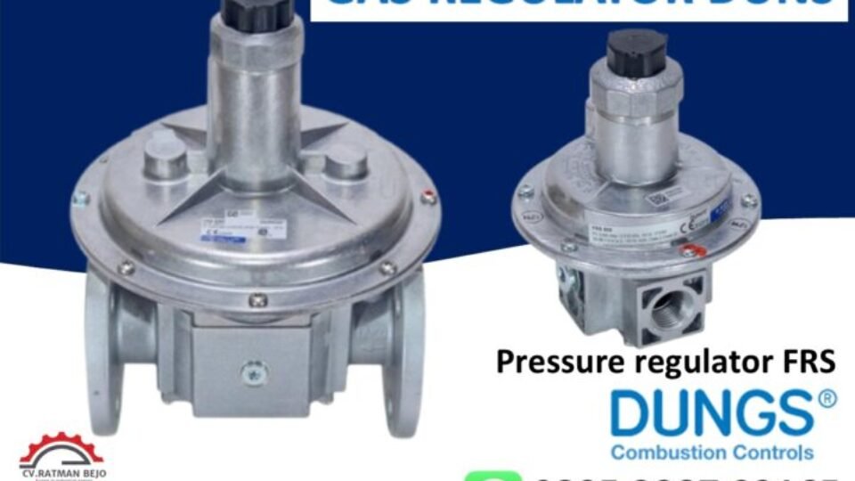 GAS REGULATOR DUNGS FRS