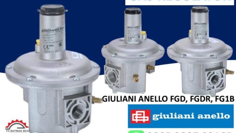 GAS REGULATOR GIULIANI ANELLO FGD, FGDR, FG1B